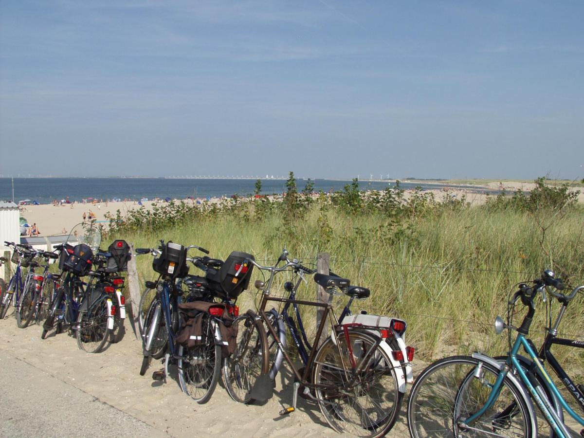 Walvis Nr. 24 *