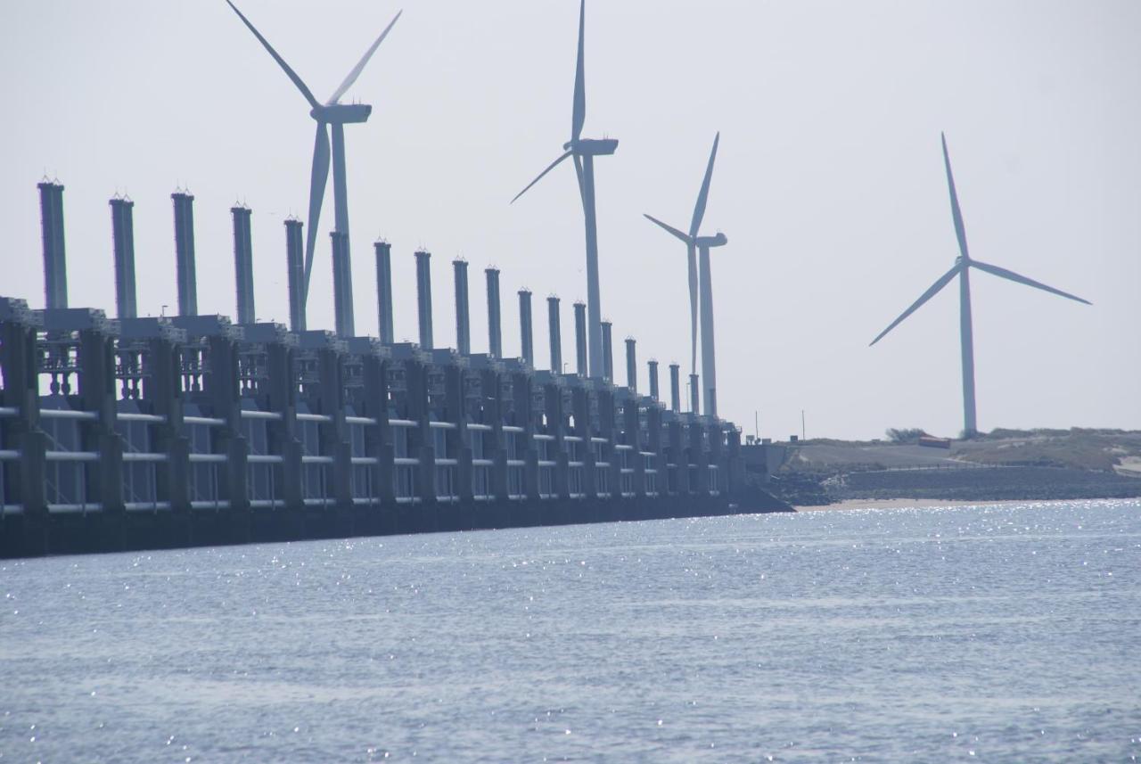 Walvis Nr. 24 Vrouwenpolder